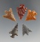 Group of assorted Columbia River arrowheads, largest is 7/8