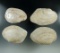 Set of 4 freshwater clamshells which were altered into spoons or ladles by the Arikara, South Dakota