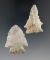 Pair of Indiana Green Flint points found by Don Simmons, largest is 1 1/2
