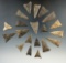 Group of 20 triangular points found in Allegheny Co., New York. Largest is 1 7/16