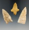 Set of three points found in Indiana and Illinois by Don Simmons, largest is 2 1/16