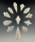 Group of 12 assorted New Mexico arrowheads, largest is 2