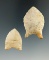 Nice pair! Two well styled Paleo quad points found in Arkansas and Tennessee. Largest is 1 13/16