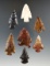 Seven assorted arrowheads found In Klickitat County Washington largest is 1 5/8