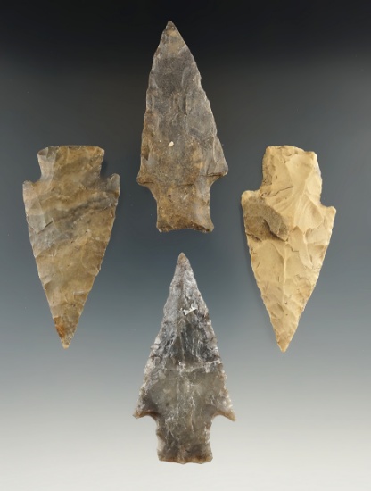Set of four Lang points found in Texas, largest is 2 5/8".