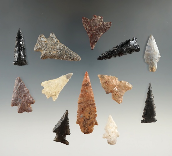 Group of 12 assorted western U. S. Arrowheads, largest is 2 1/4".