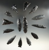 Set of 14 Obsidian artifacts - Largest is 2 5/8