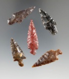 Set of five Columbia River arrowheads found in 1964 near the John Day River, largest is 1 1/2