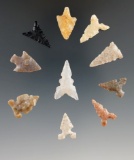 Set of 10 assorted Texas bird points, largest is 1