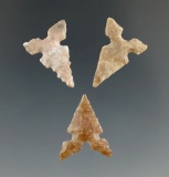 Set of three nice Toyah points found in Texas, all around 3/4