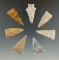 Group of 7 Arrowheads including 6 Triangle Points found in Indiana and Ohio. Largest is 1 1/4