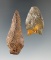 Pair of points found by Don Magnani near the Wilcomico River, St. Mary's Co., Maryland.