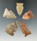 Set of five Sidenotch points found in Indiana, largest is 1 9/16
