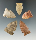 Set of five Sidenotch points found in Indiana, largest is 1 9/16