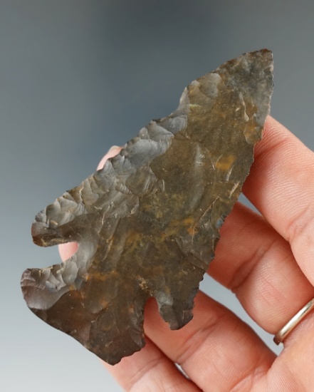 3 " Archaic Bevel made from Coshocton Flint found in Holmes Co., Ohio. Ex. Wayne Gerber.