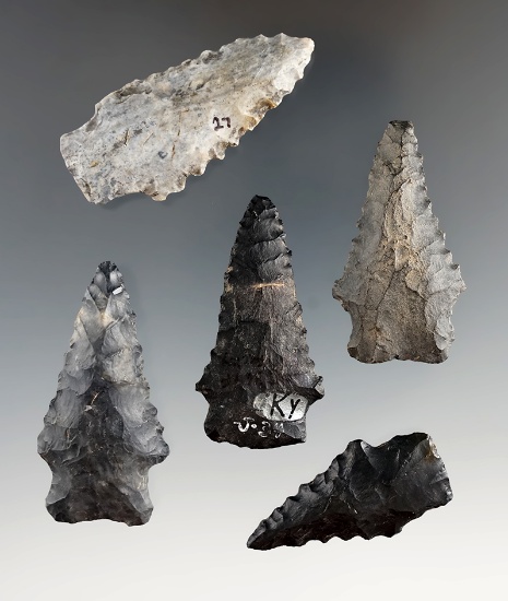 5 serrated Heavy Duty points made from Coshocton Flint found in various counties in Ohio. -