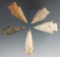 Set of five arrowheads found in Texas, largest is 1 11/16
