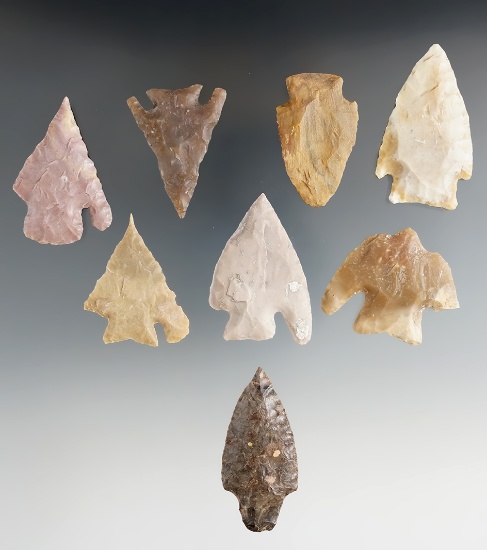 Group of eight assorted Texas arrowheads in nice condition, largest is 2 1/8".