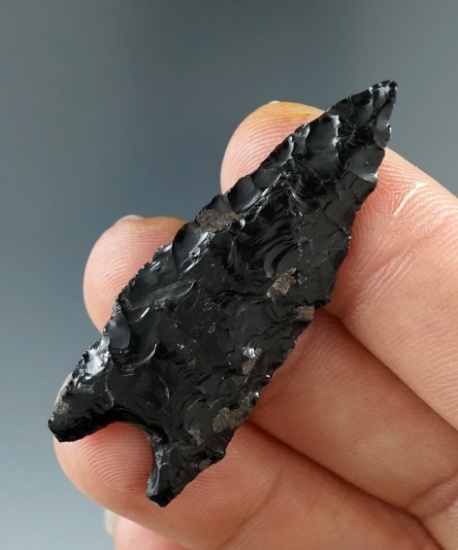 1 7/8" Humboldt Basal Notch made from Obsidian, found near Crump Lake, Oregon. COA.