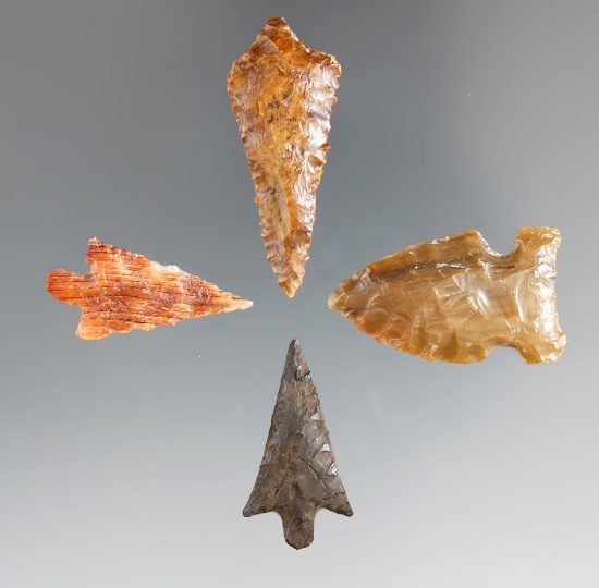 Set of four Columbia River arrowheads, largest is 1 9/16".