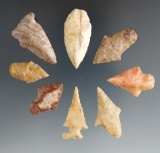 Set of eight nice arrowheads found in Texas, largest is 1 9/16