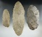 Set of three large Blades found in Brookings Co., South Dakota, largest is 7
