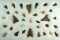 Group of 34 assorted Columbia River arrowheads found in Washington. Largest is 1 5/8