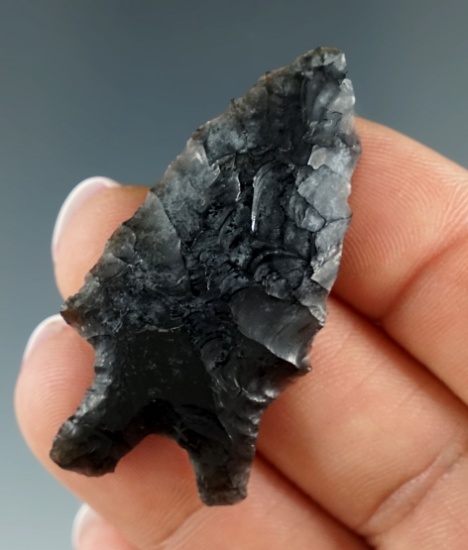 1 3/4" nicely patinated obsidian Pinto Basin found by Don Buckingham in Christmas Valley, Oregon.