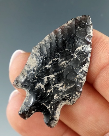 1 9/16" nicely patinated obsidian Pinto Basin found by Don Buckingham in Christmas Valley, Oregon.