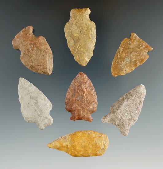 Set of seven assorted points found in Eastern South Dakota, largest is 1 9/16".