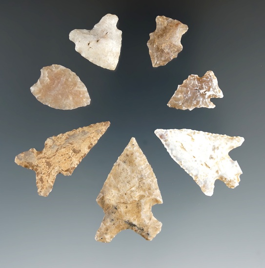 Set of seven assorted points from the northern High Plains region, largest is 1 1/2".