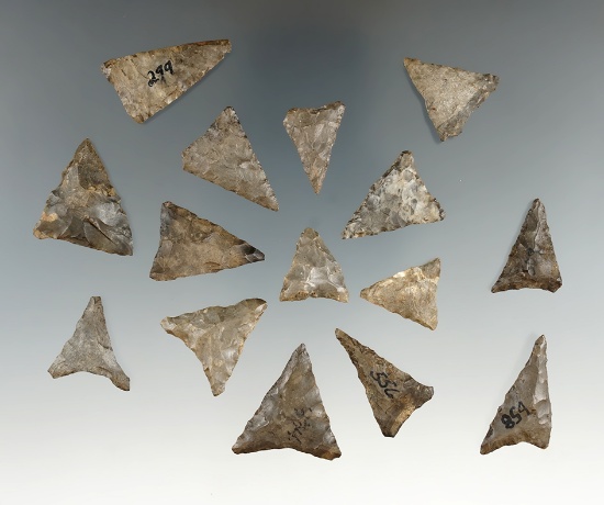 Group of 15 Mississippian triangle points found in Allegheny Co., New York. Largest is 1 1/8".