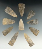 Set of 10 nice triangle points found in Allegheny Co., New York, largest is 2 1/8
