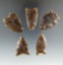 Set of five assorted arrowheads made from beautiful Knife River Flint - Eastern South Dakota.