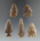 Five nice Knife River Flint arrowheads found in Eastern South Dakota, largest is 1 9/16