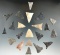 Group of 21 Triangle Points found near Shreve Swamp, Holmes Co., Ohio. Largest is 1 3/8