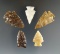 Set of five nice Eastern South Dakota arrowheads, largest is 1 5/16