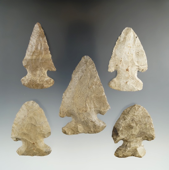 Set of 5 Thebes found in the Midwest, largest is 3 1/8".