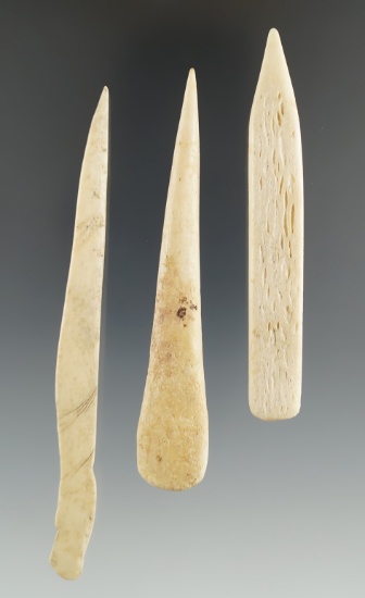 Set of three bone Awls found in Eastern South Dakota, largest is 3 7/8".