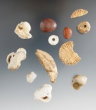 Assorted shell, stone and bone  artifacts found at Malaga Cove site, Los Angeles Co., California.