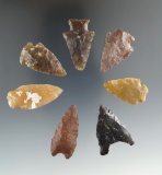 Set of seven assorted arrowheads found in Eastern South Dakota by Harlan Olson