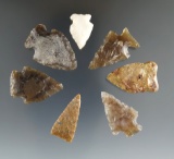 Set of seven assorted arrowheads found in Eastern South Dakota by Harlan Olson.