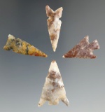Set of four Texas bird points made from beautiful material, largest is 1 1/8