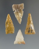 Set of four nicely styled arrowheads found in Wyoming and North Dakota. Largest is 1 1/16