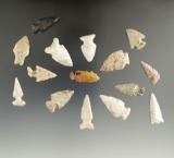 Group of 15 assorted Midwestern bird points, largest is 1 1/8