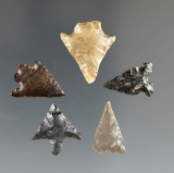 Set of five Columbia River arrowheads found in Kittitas Co., Washington. Largest is 13/16