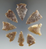 Eight assorted arrowheads made from quality Knife River Flint found in Eastern South Dakota