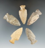 Set of five assorted arrowheads found in Ohio, largest is 2 3/16