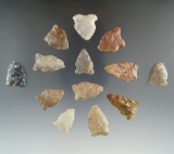 13 assorted arrowheads found by Harlan Olson in Brookings Co., South Dakota.