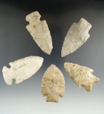 Set of 5 Assorted Arrowheads found in the Illinois/Missouri area, largest is 2 15/16